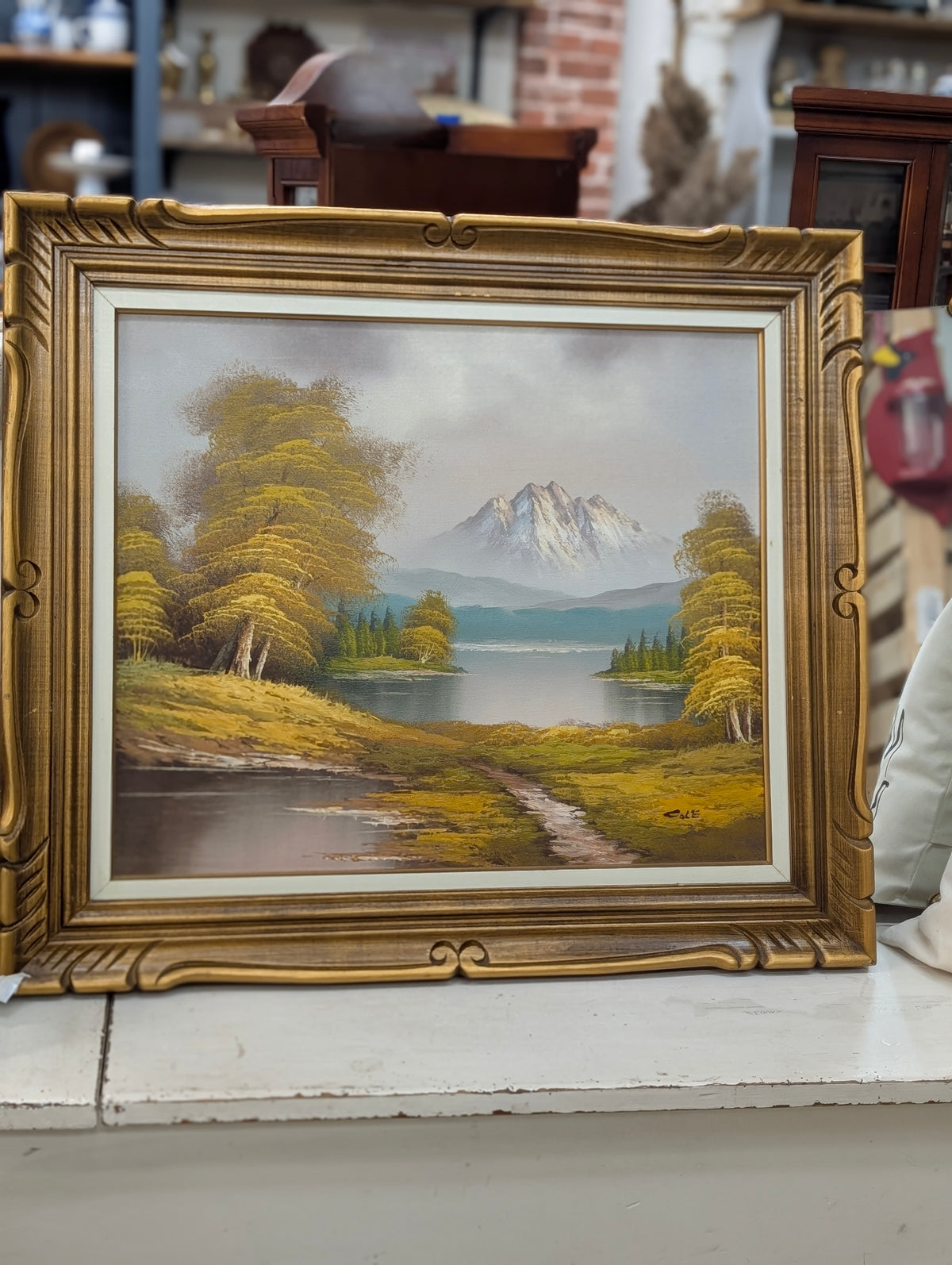 Large mountain scene Original Art