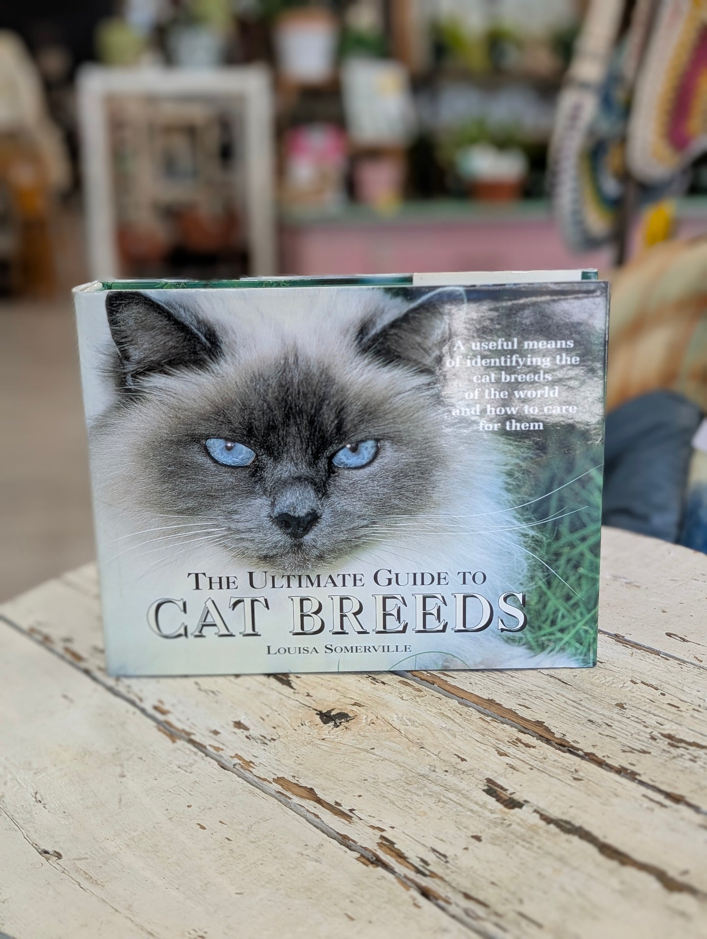 Cat breed reference book