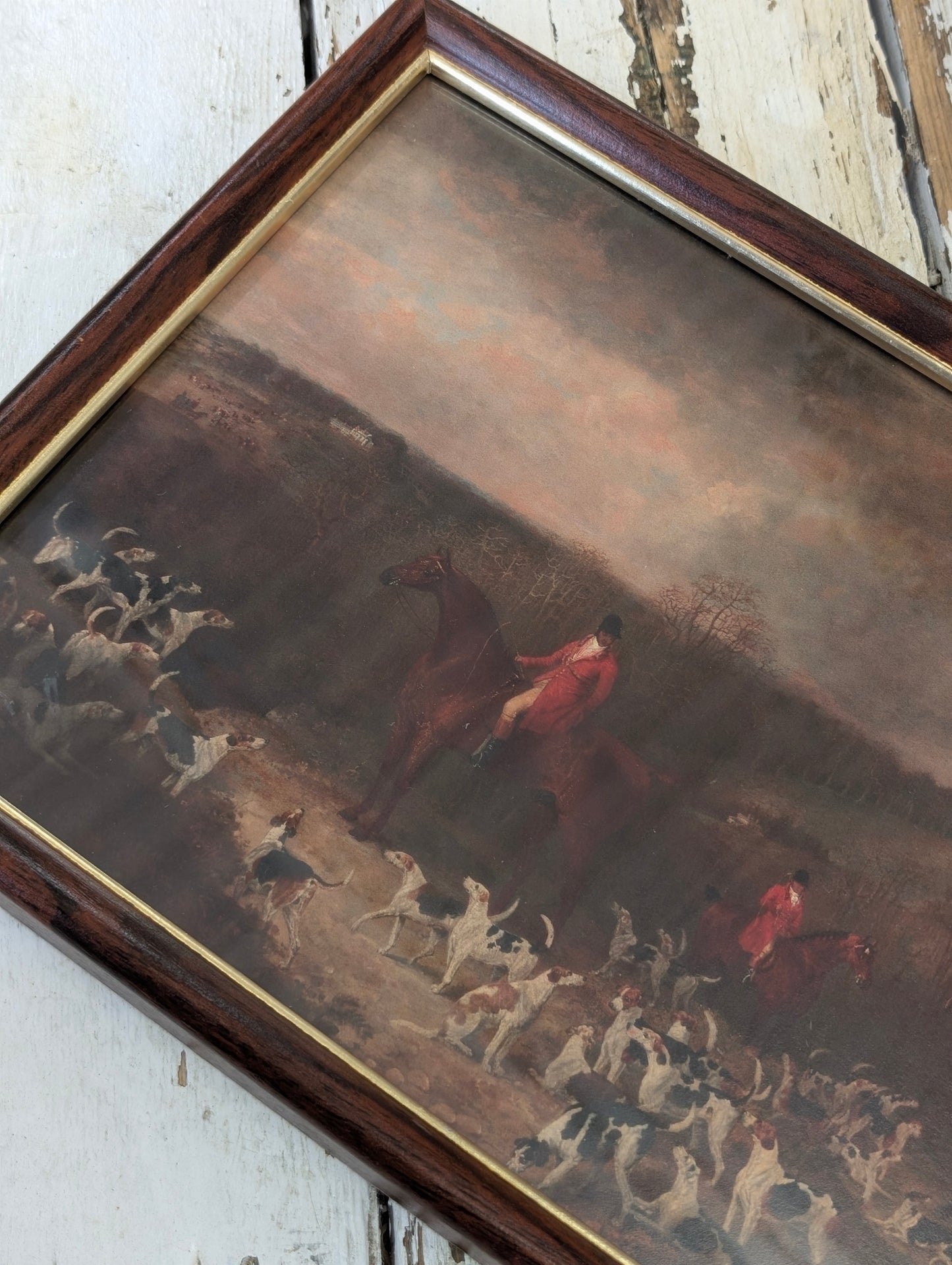 Hunting hounds framed print