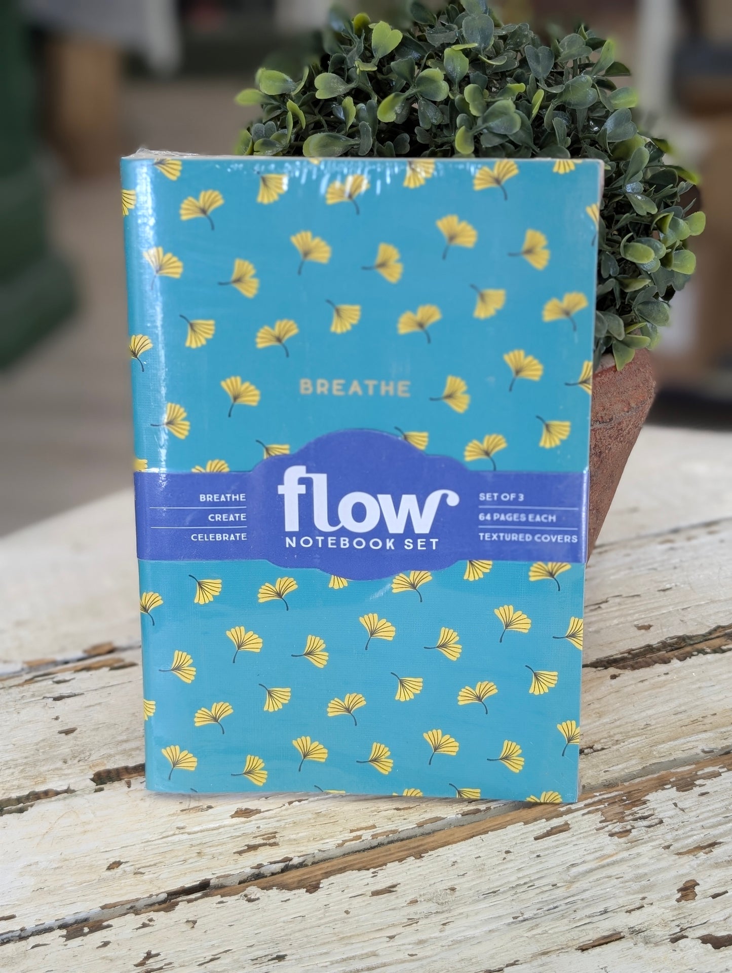 Notebook Set