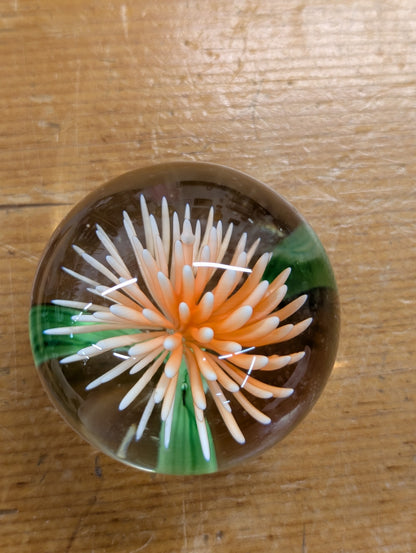 Glass flower paper weight