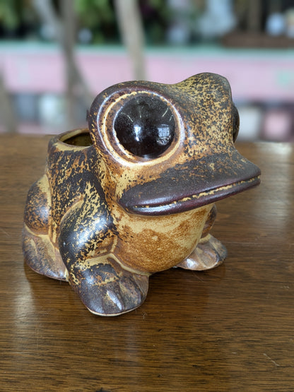 Big eyed frog planter