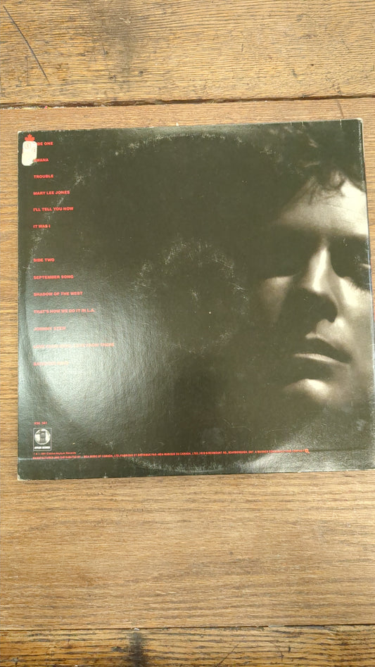 Lindsey Buckingham Law and Order LP