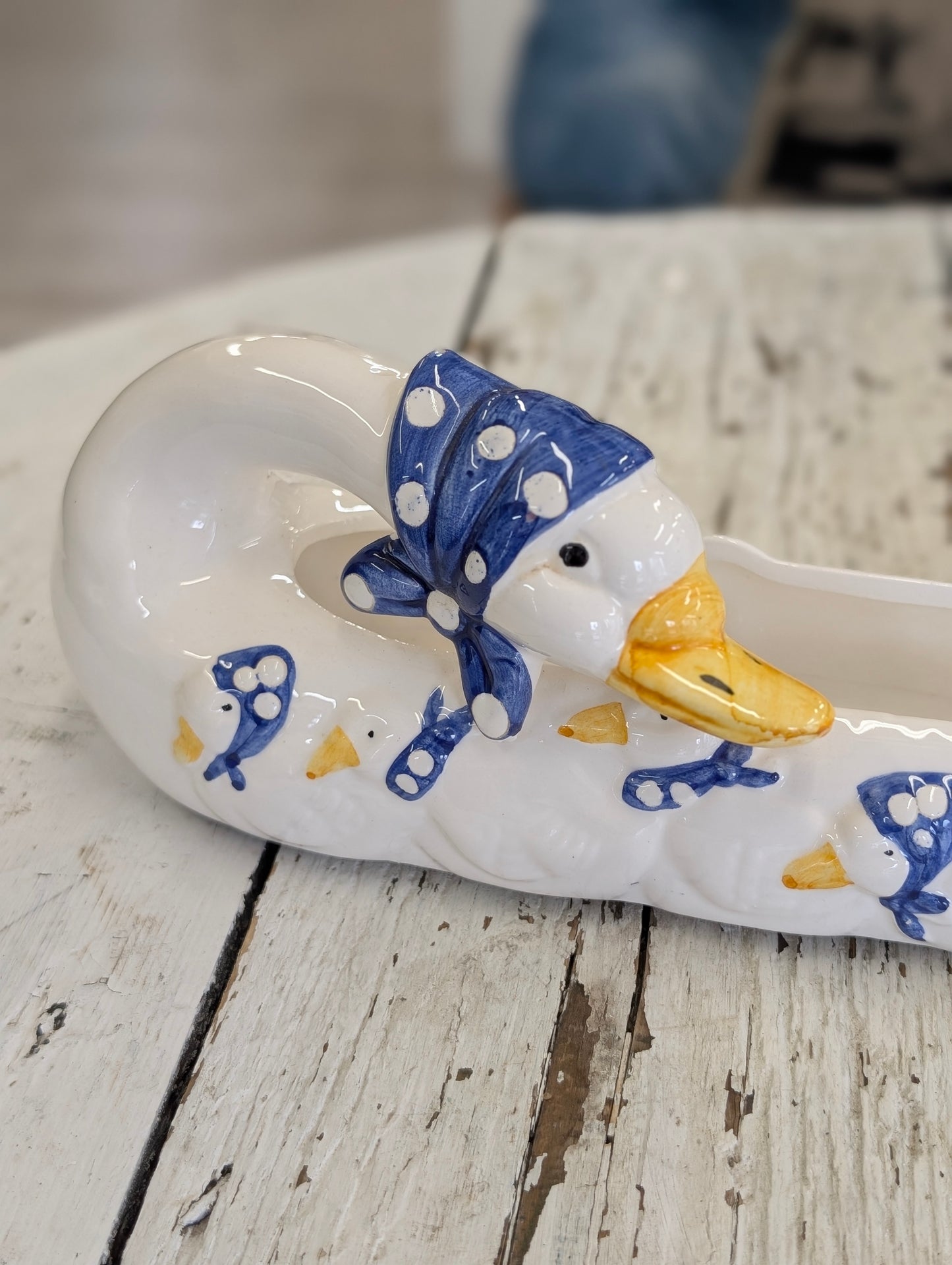 Goose Dish