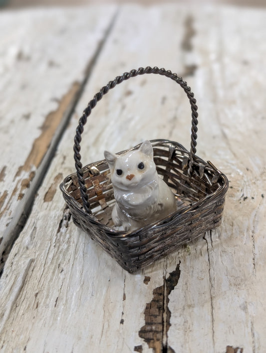 Kitty in basket