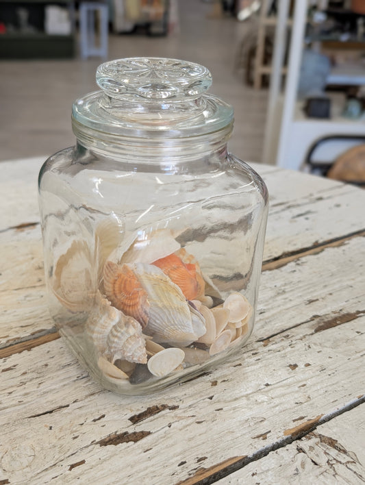 Jar with shell's large
