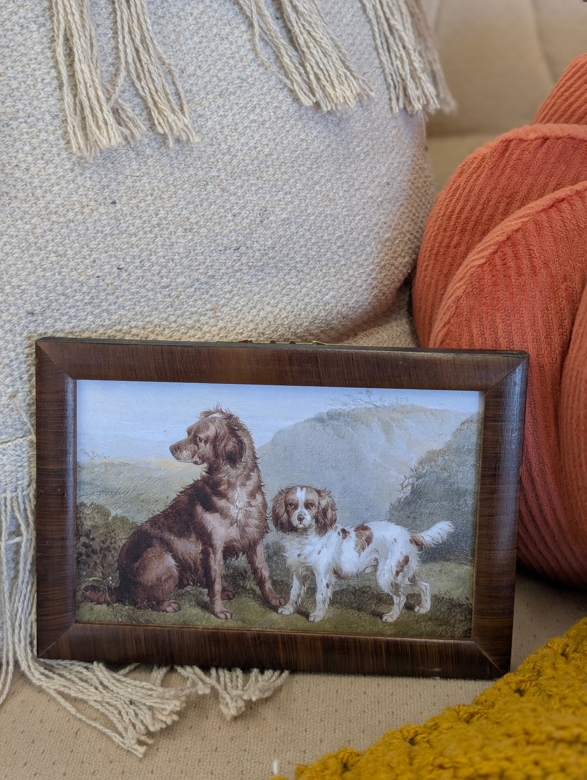 Vintage dog framed print 4 x 6