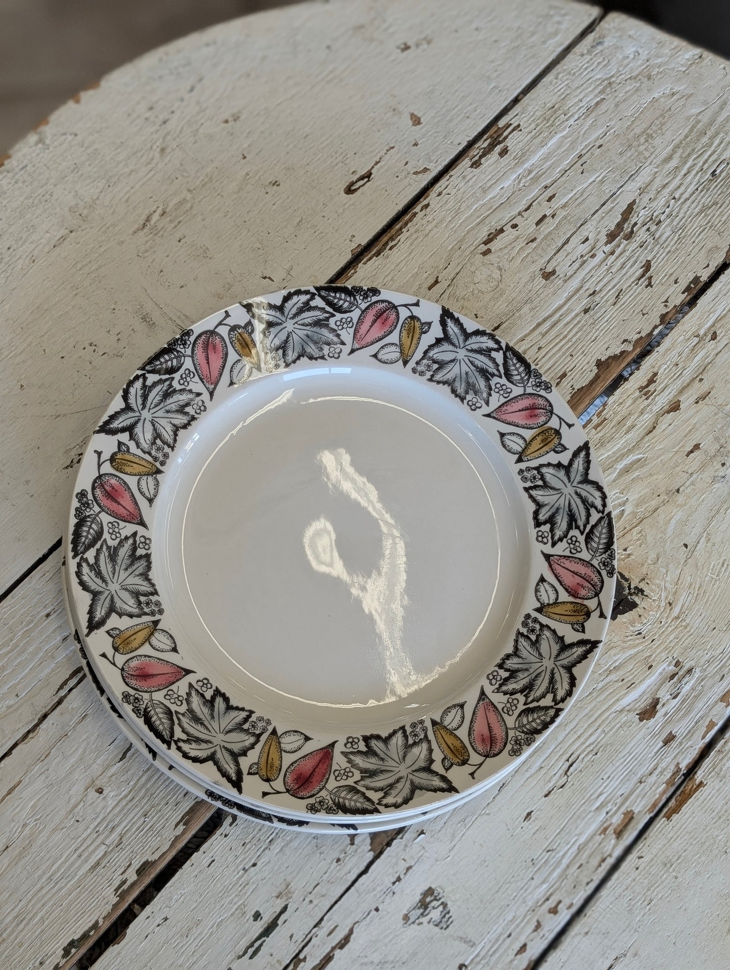 Kathie Winkle Dinnerware