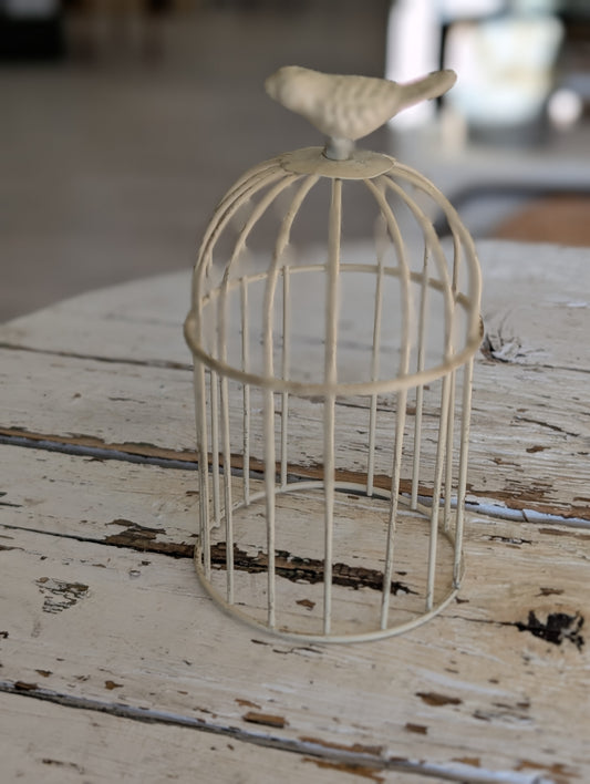 Small bird cage