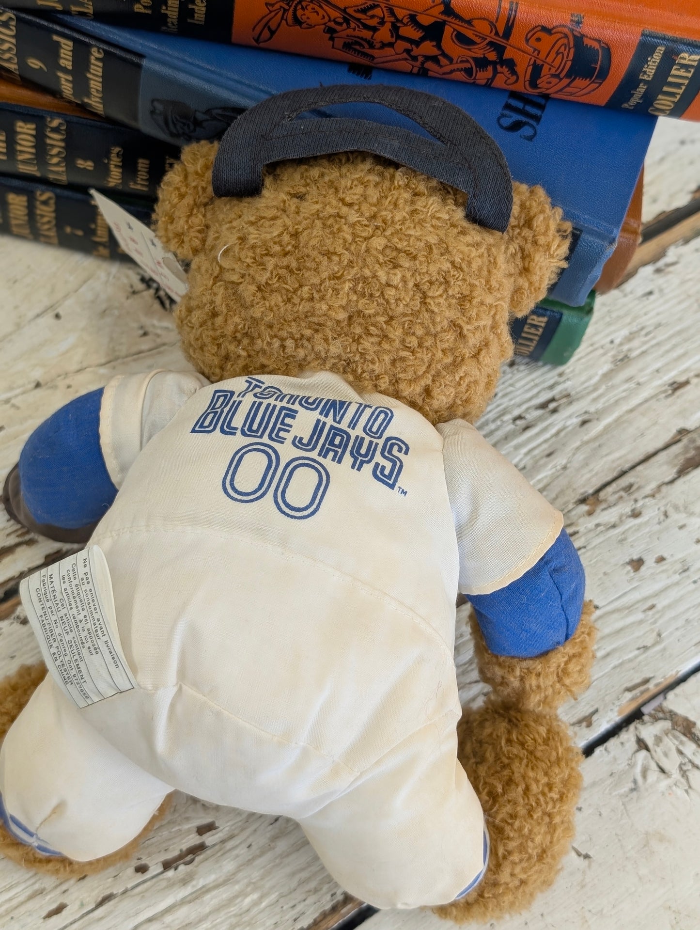 Blue jays bear