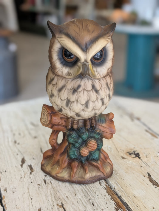 Owl figuring with acorn