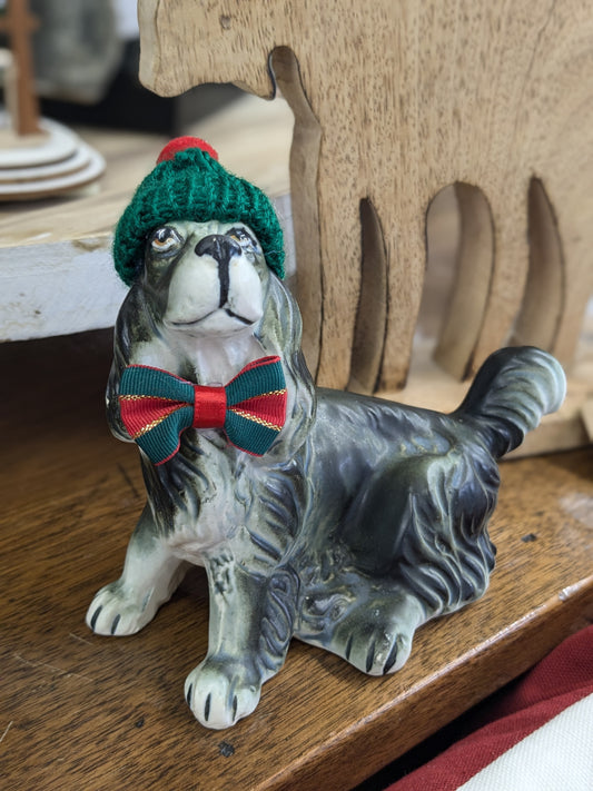 Finn the Christmas Dog