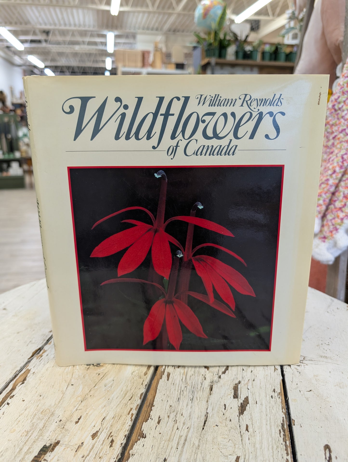 Wildflowers of Canada