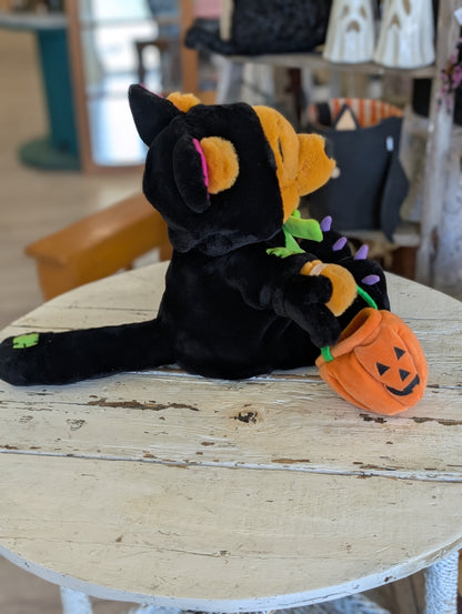Pooh the kitty cat