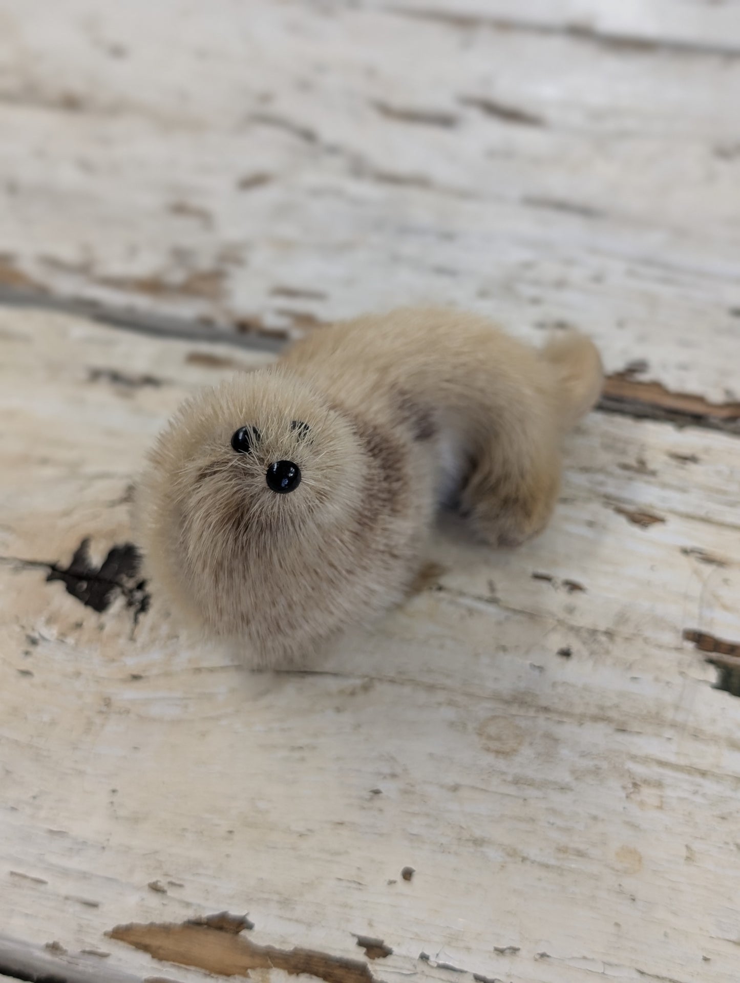 Small seal