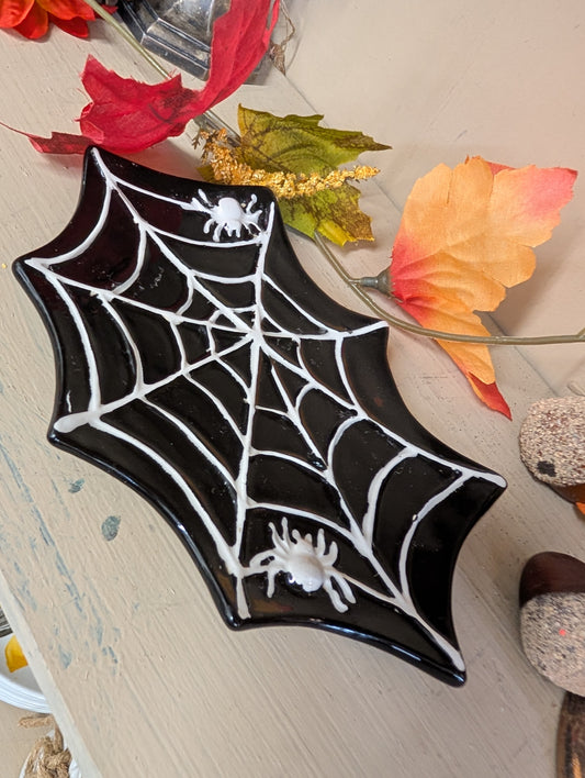Spider catchall
