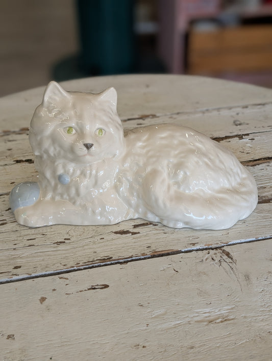 Sitting white cat