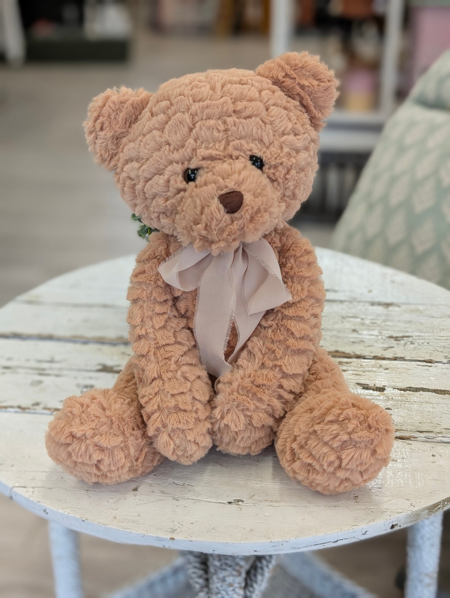 Lily the Teddy