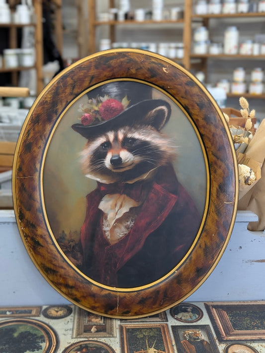 Racoon framed print