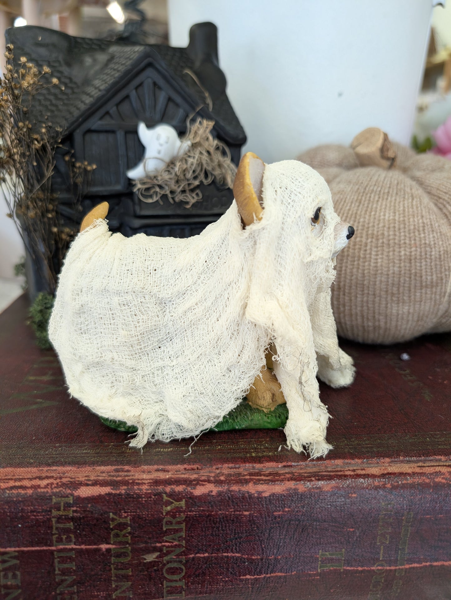 Ghost dog - Ethan