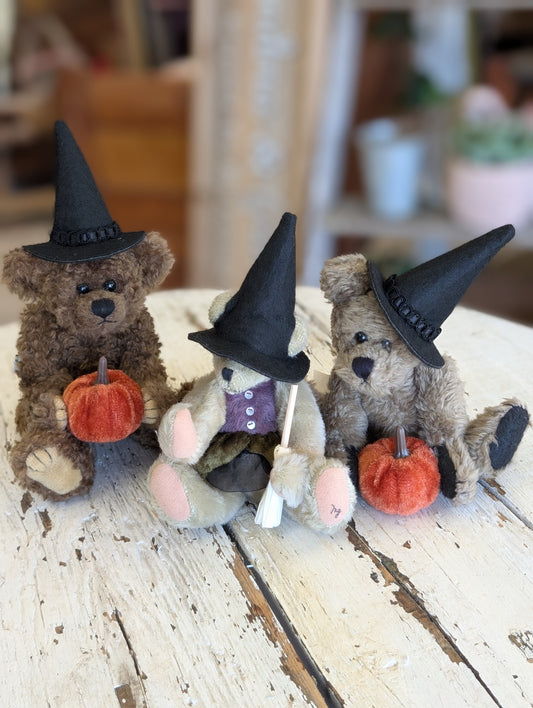 Witch Teddy
