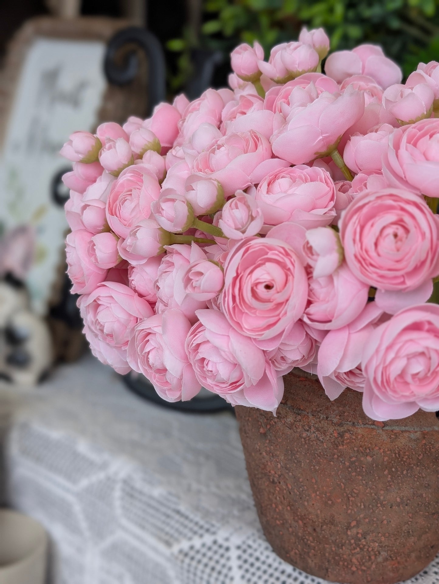 Pink Ranunculus