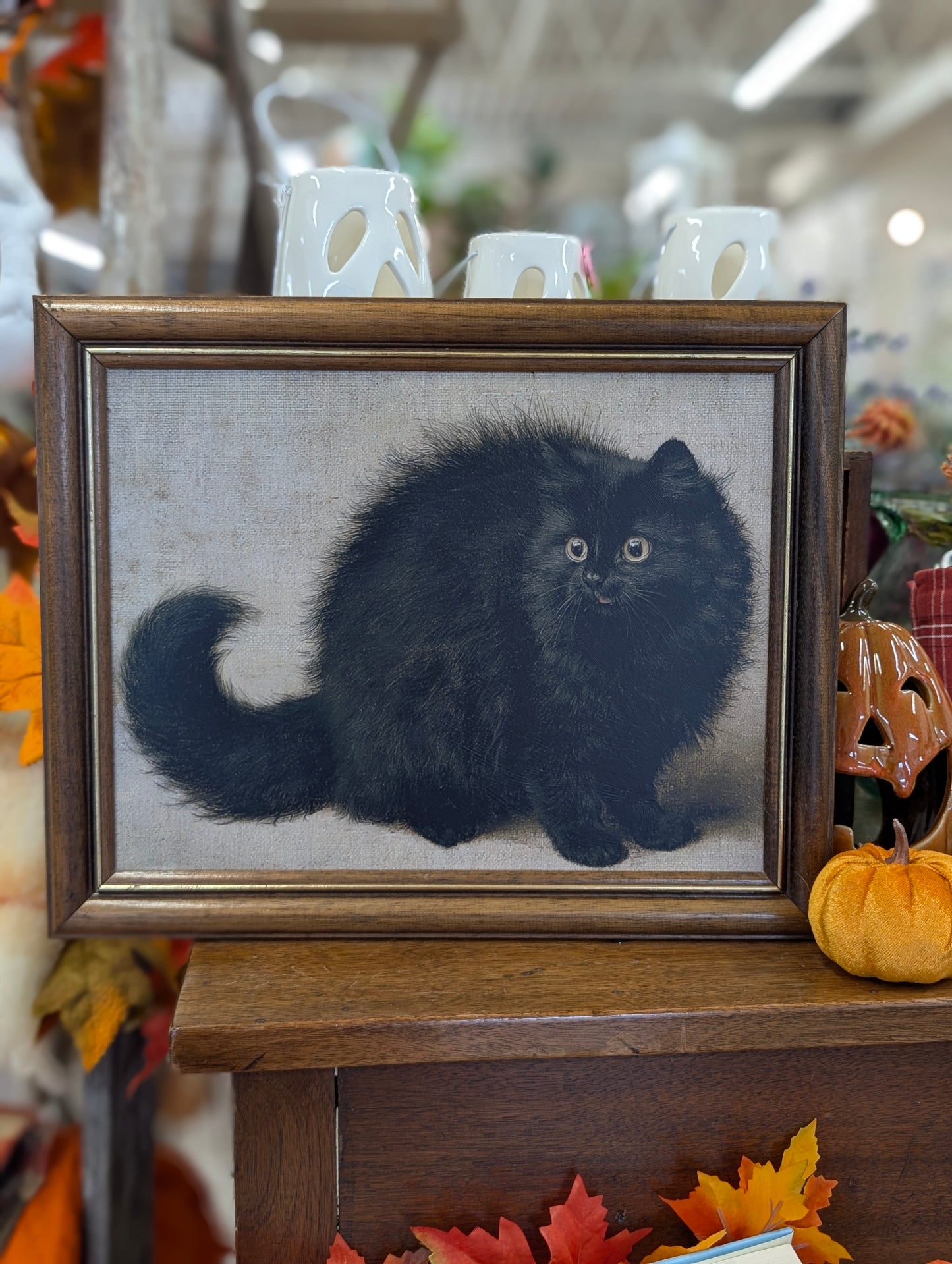 Spooked kitty framed print