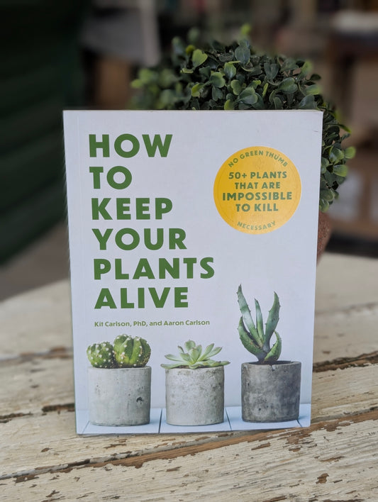 How to keep your plants alive