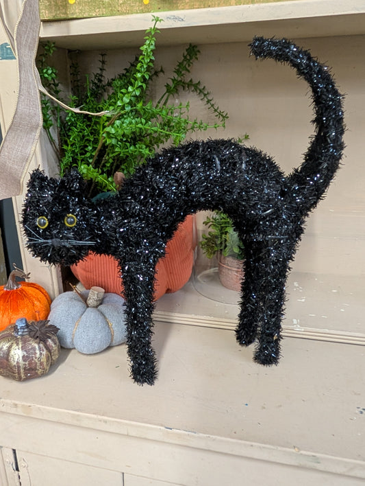 Spooky shinny black cat