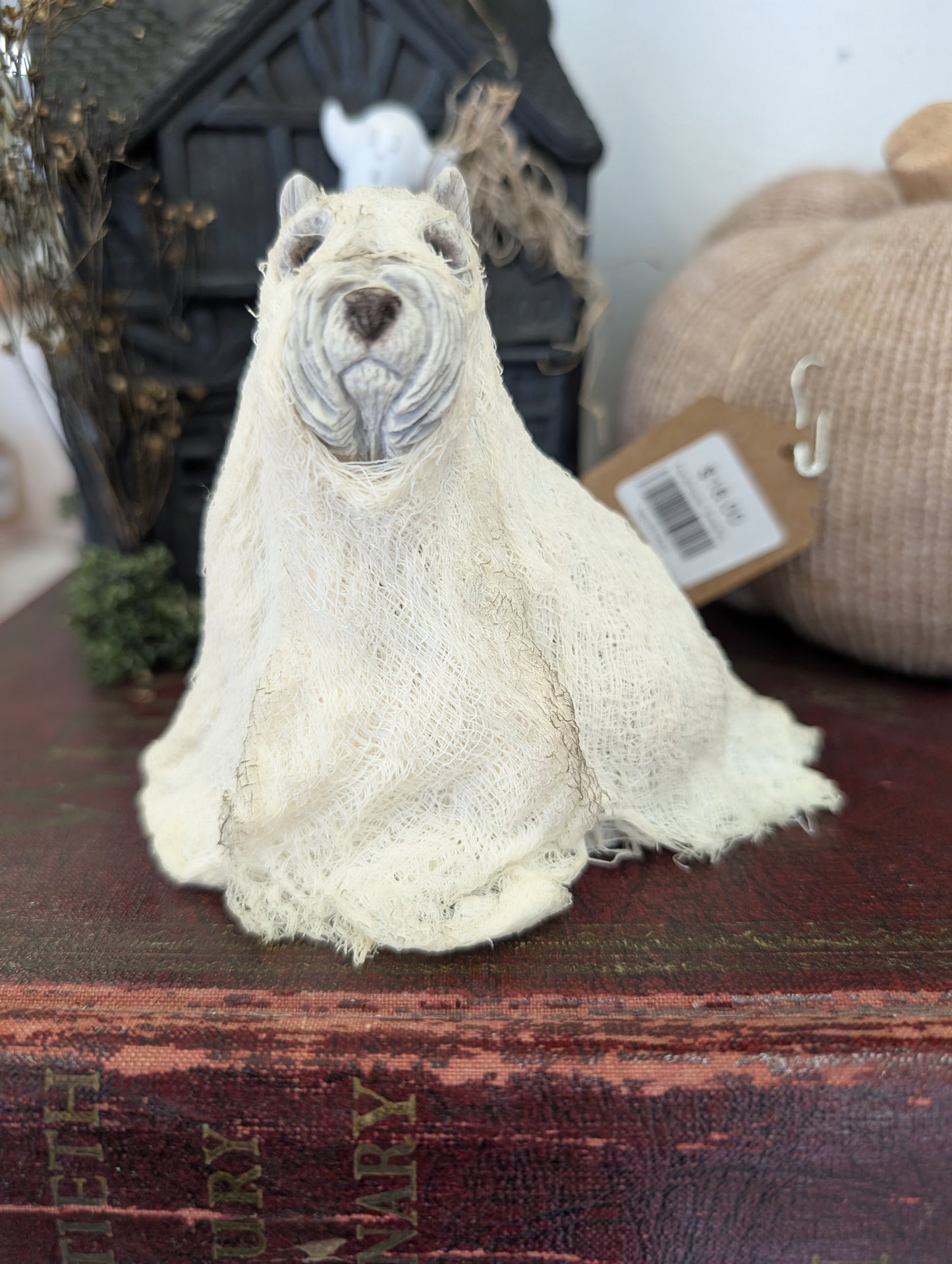 Ghost dog - Fanny