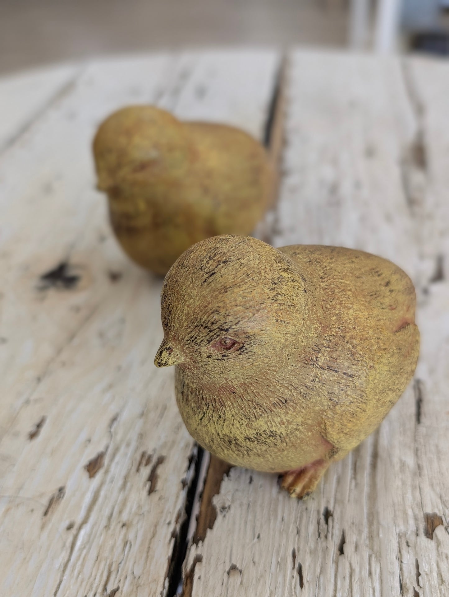 Small chicks