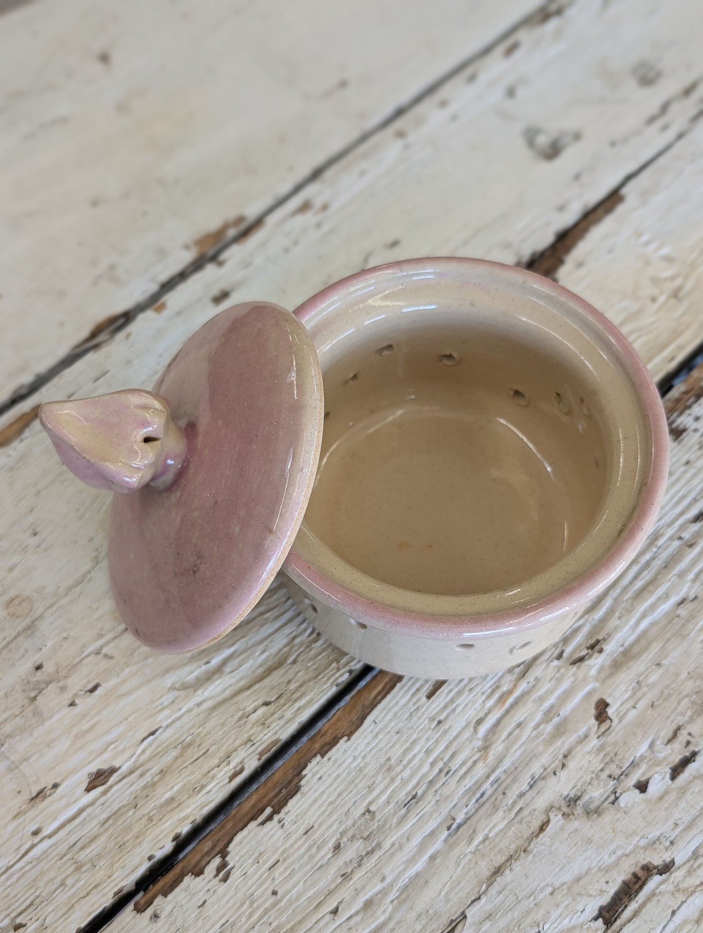 Garlic Container