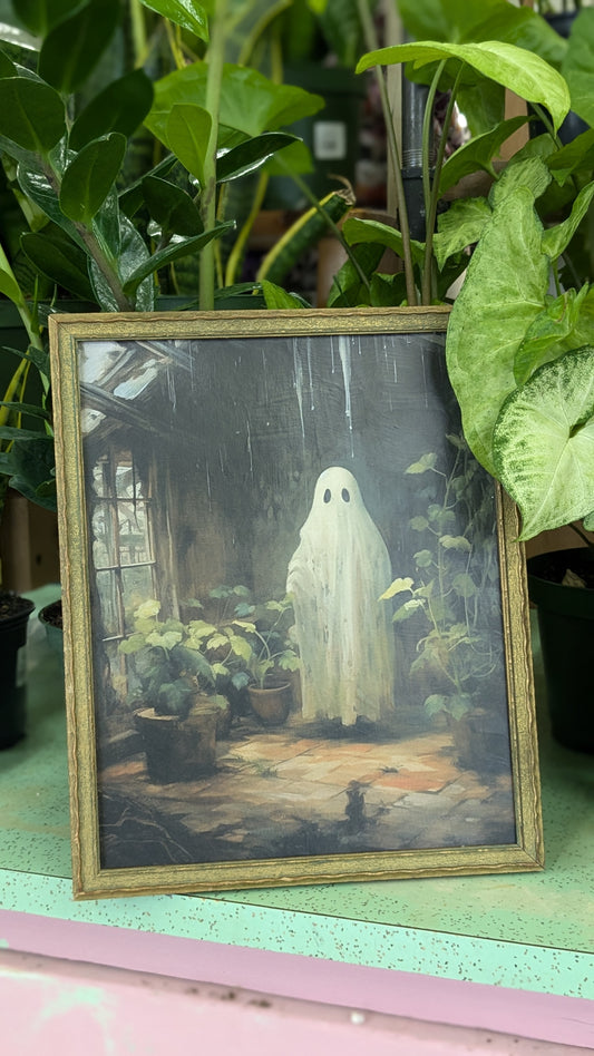 Ghost in Green House Framed Print