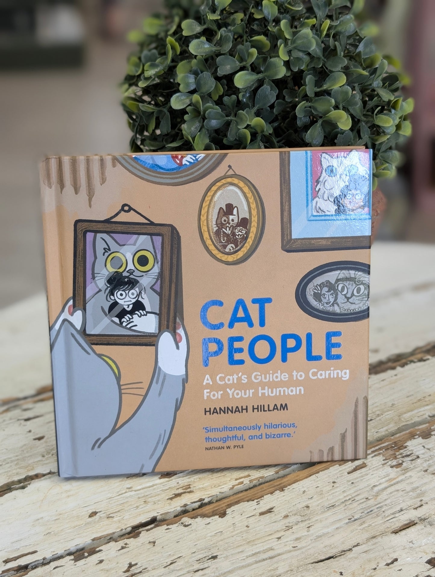 Cat People : A cats guide to caring for their humans