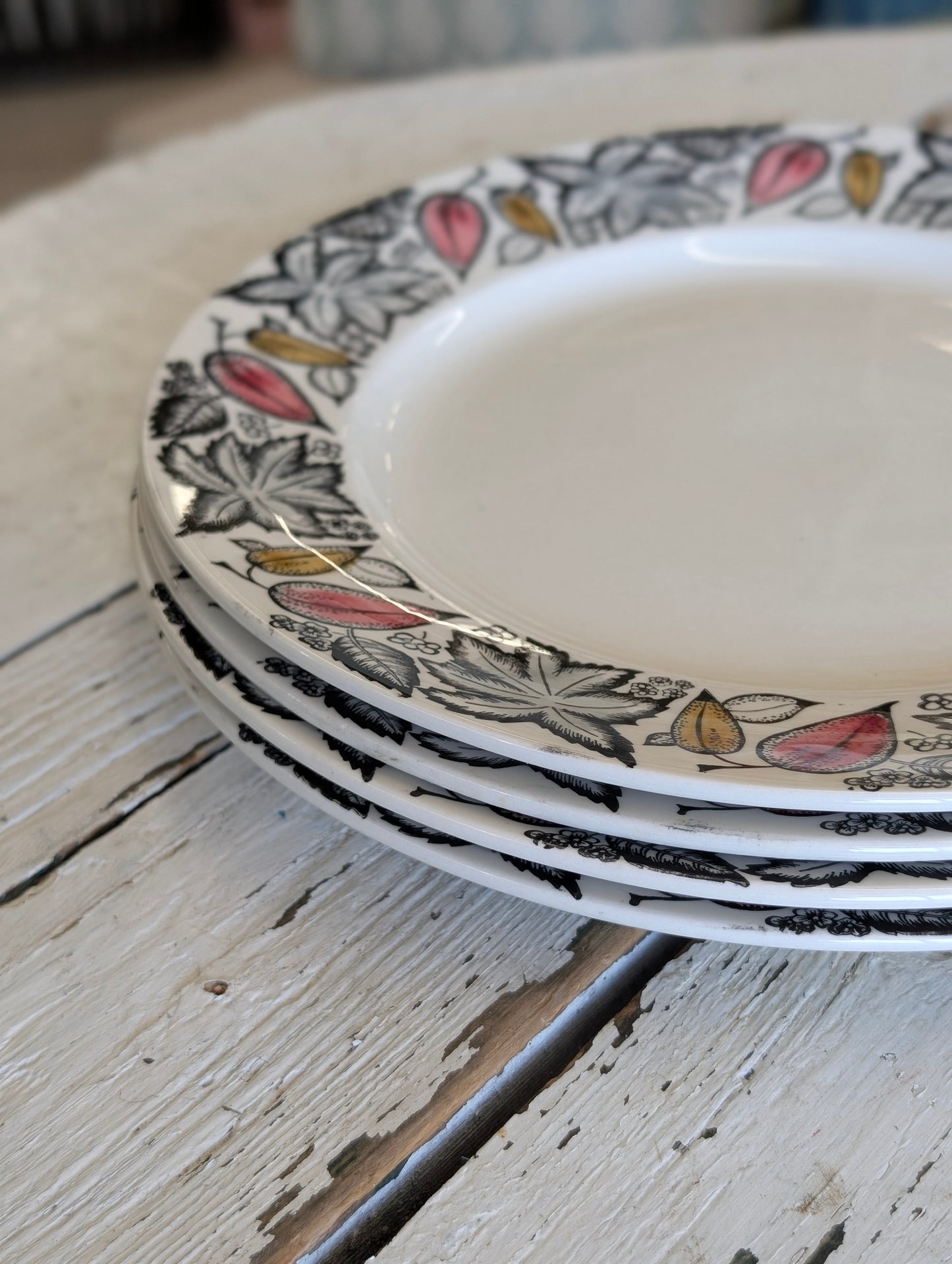 Kathie Winkle Dinnerware