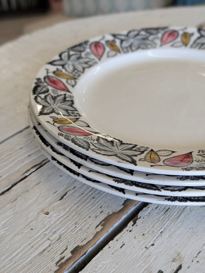 Kathie Winkle Dinnerware