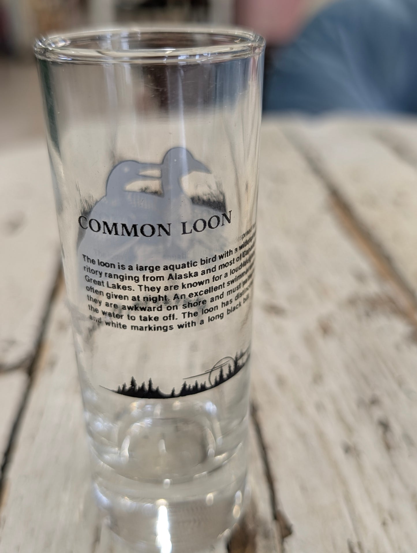 Loon shot glass
