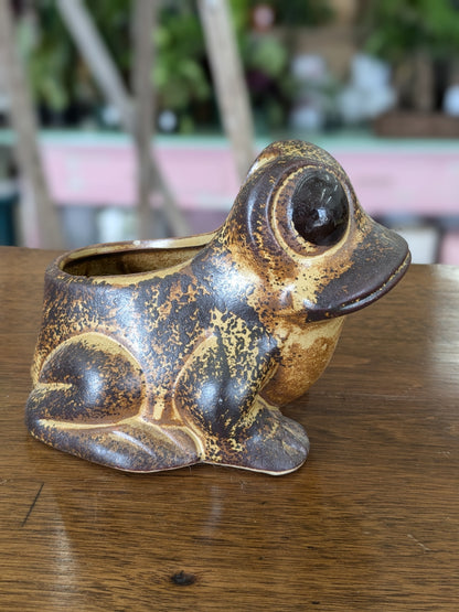 Big eyed frog planter