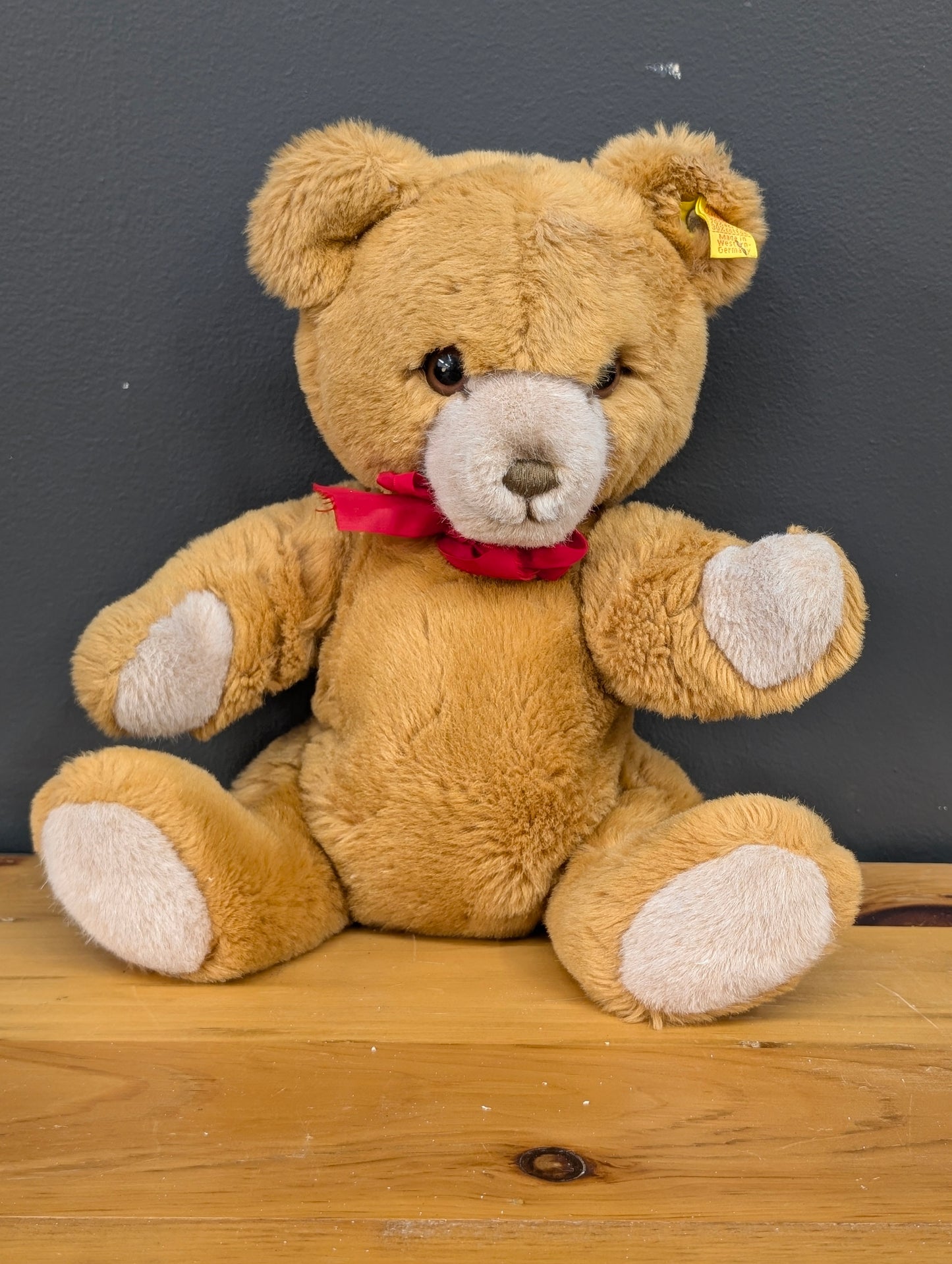 Steiff Petsy teddy bear with a red ribbon