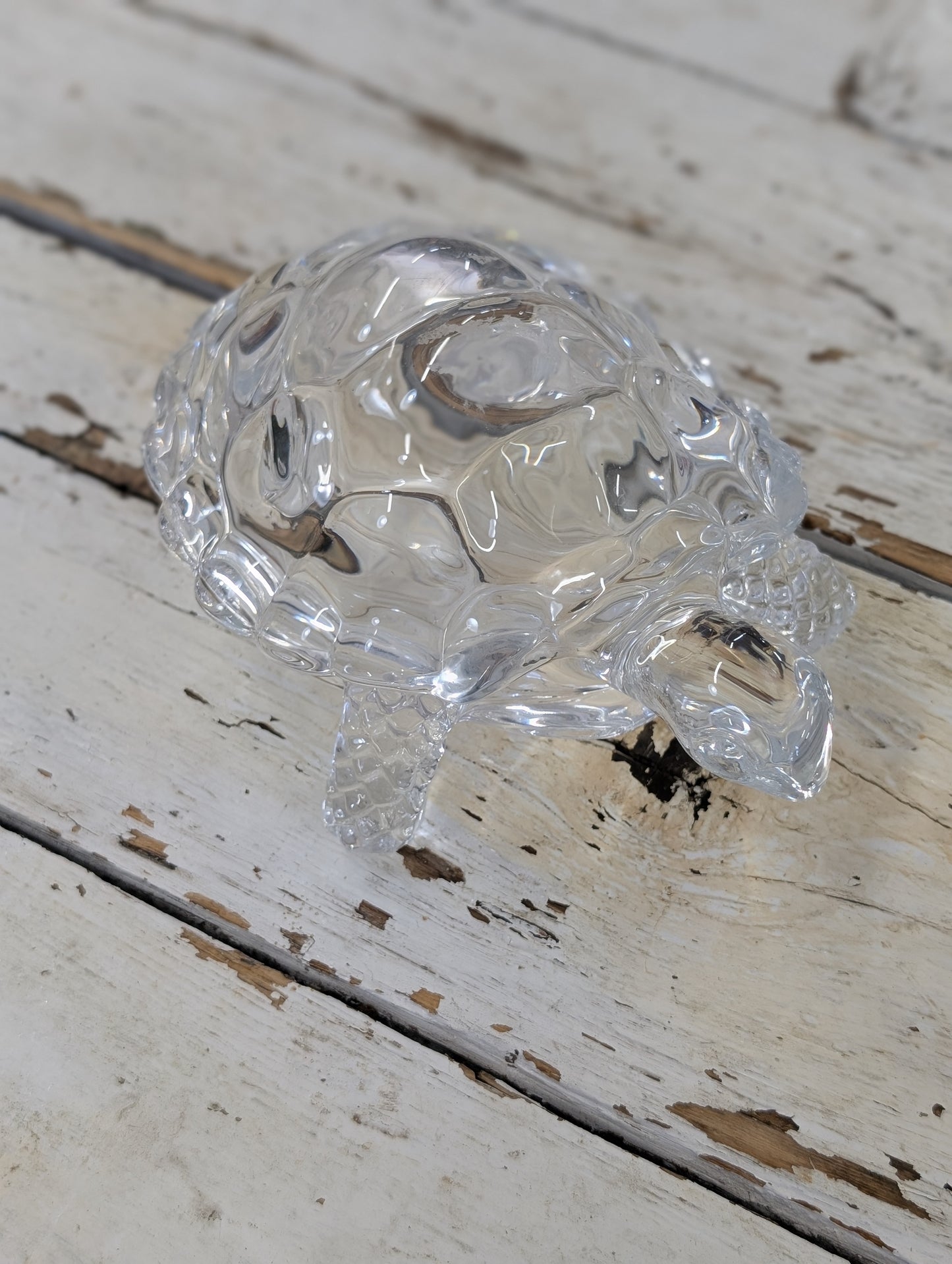 Glass turtle
