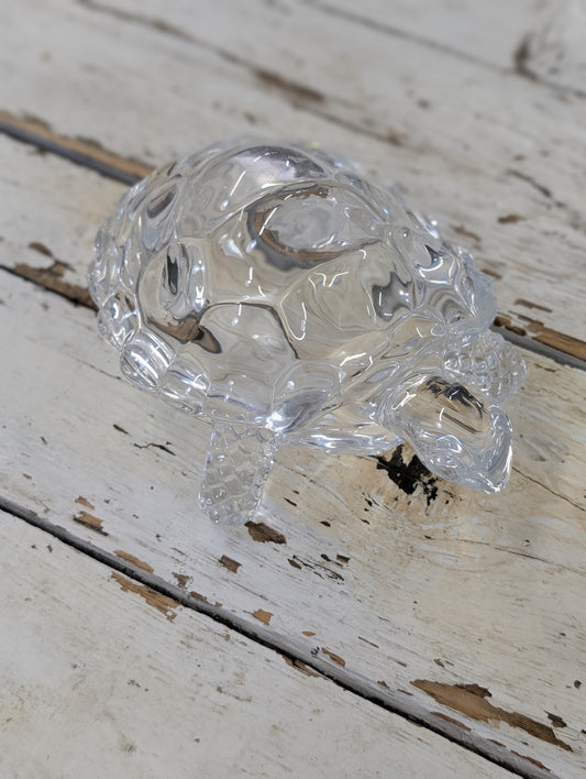 Glass turtle