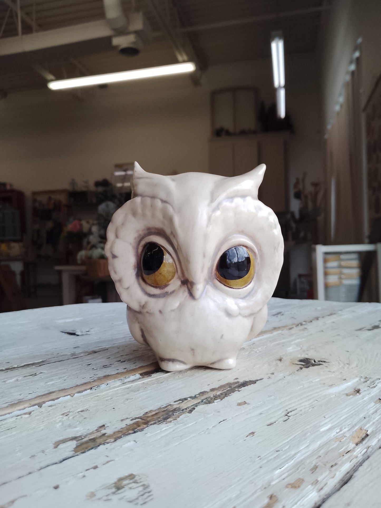 Ceramic Owl
