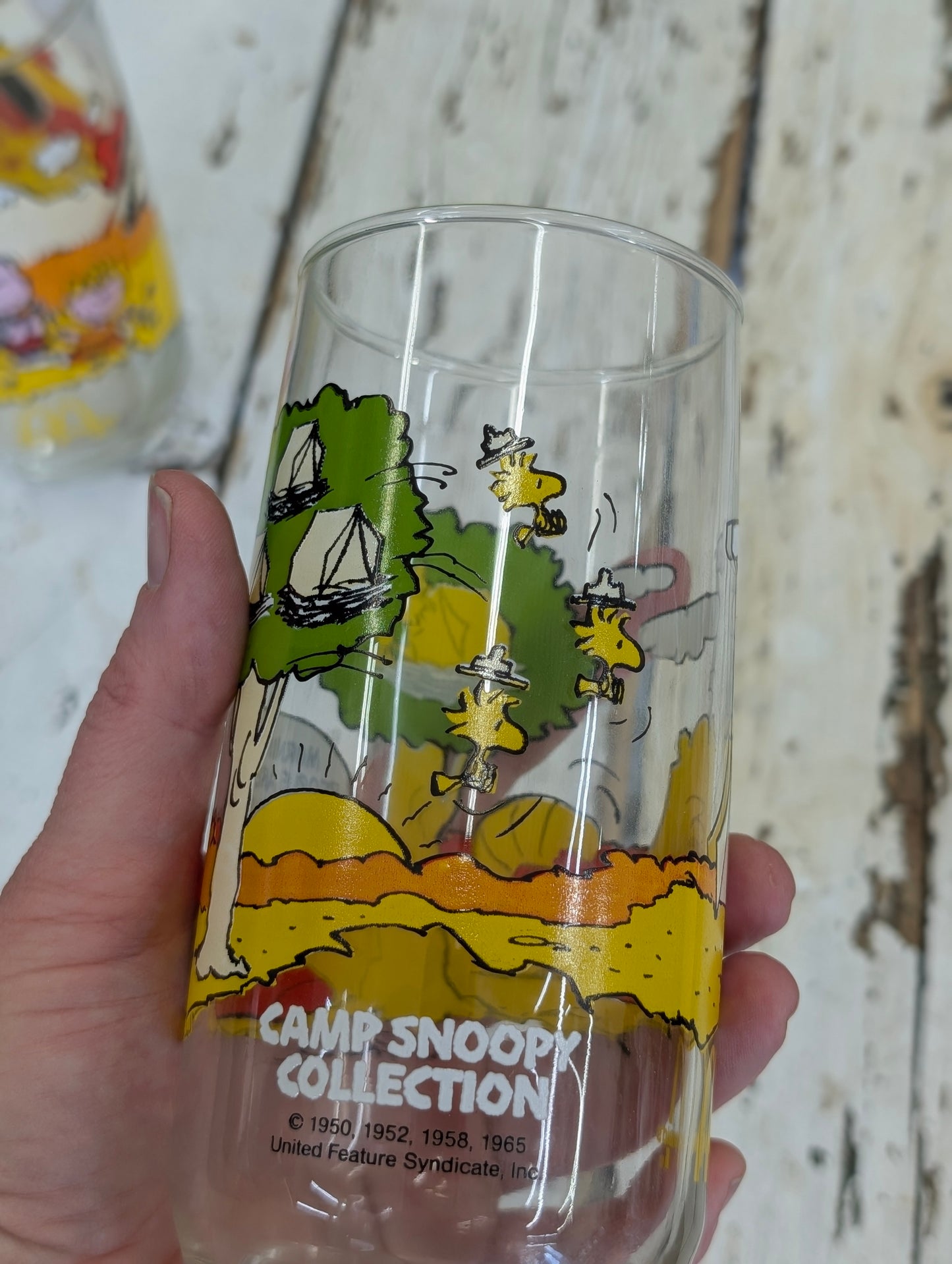 Charlie Brown Vintage glasses