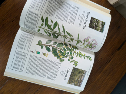 Magic and medicine of plants