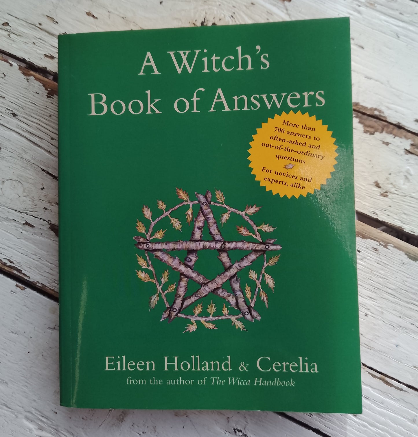 A Witch's Book Of Answers