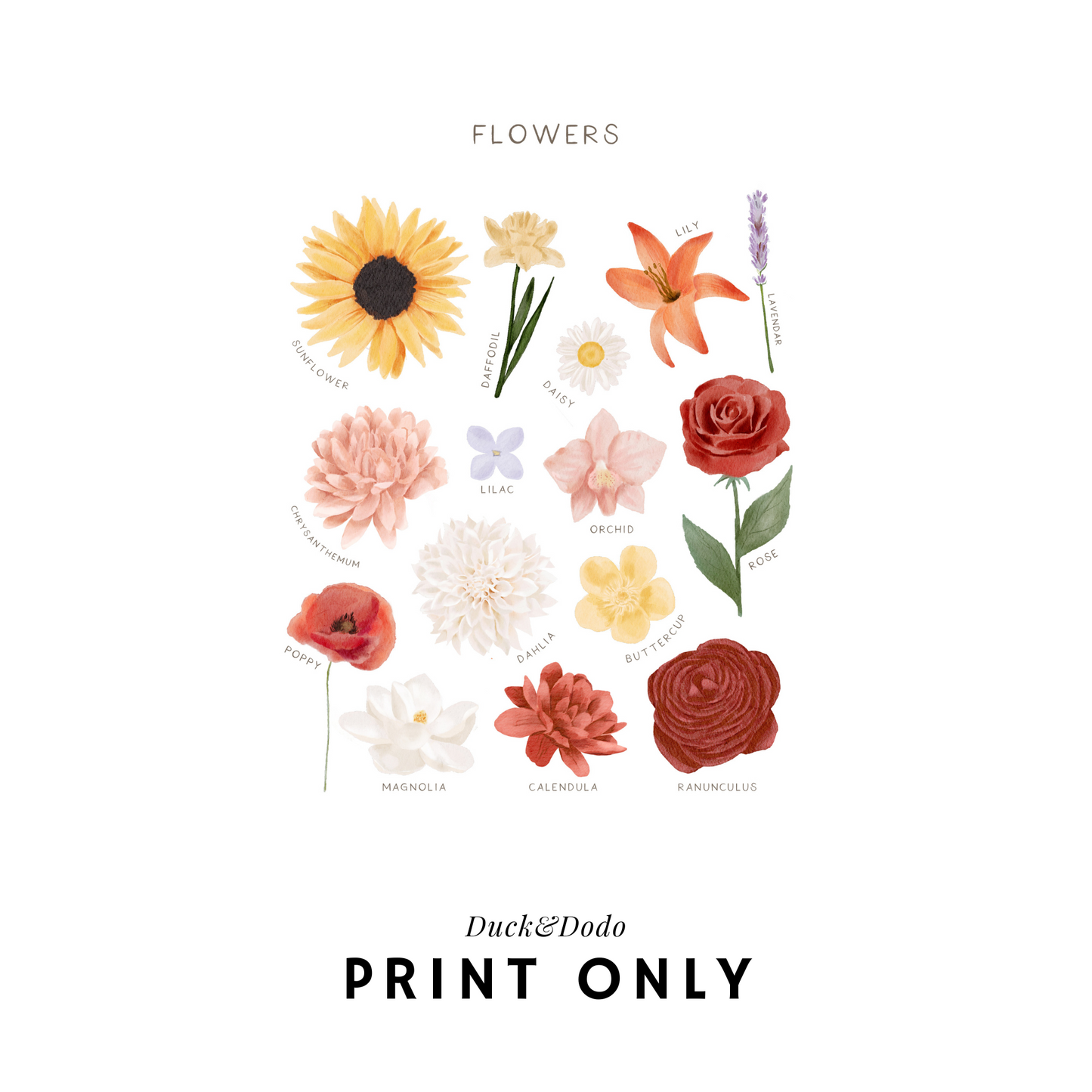 Flowers Print