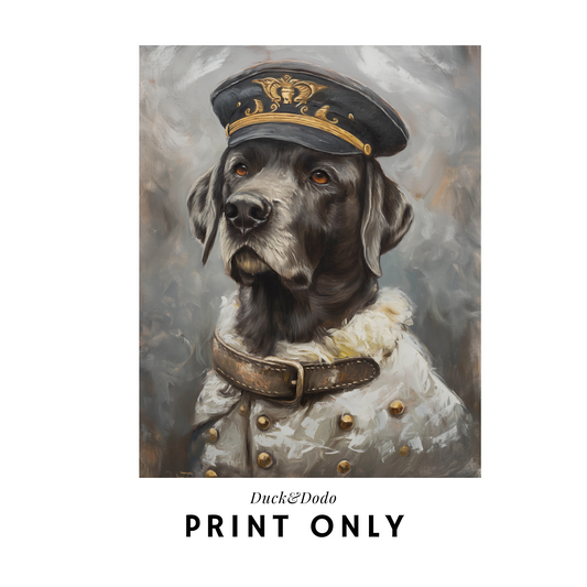 Dapper Nautical Dog