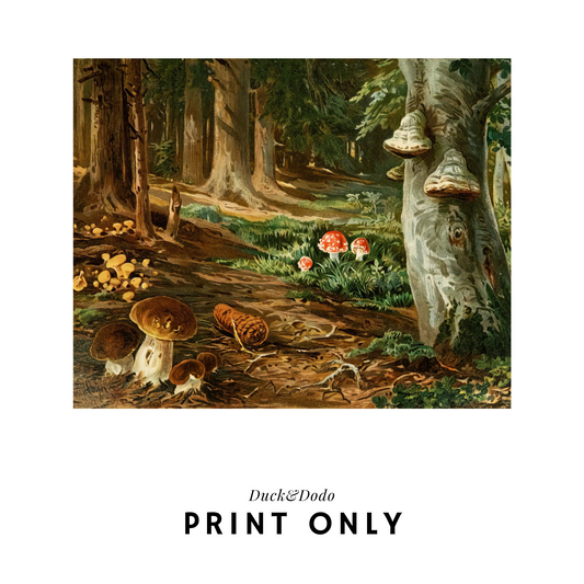 Woodland Mushroom Print