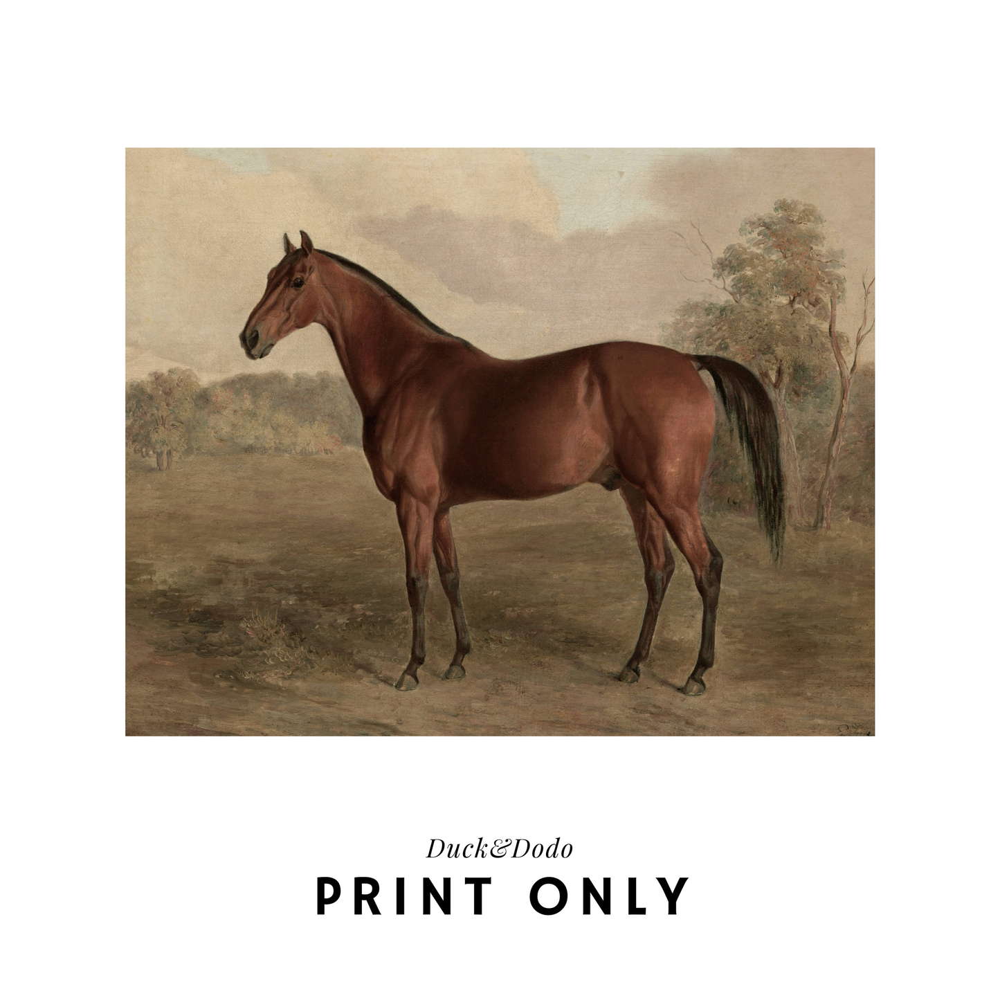 Horizontal Horse Print