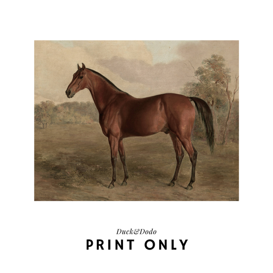 Horizontal Horse Print